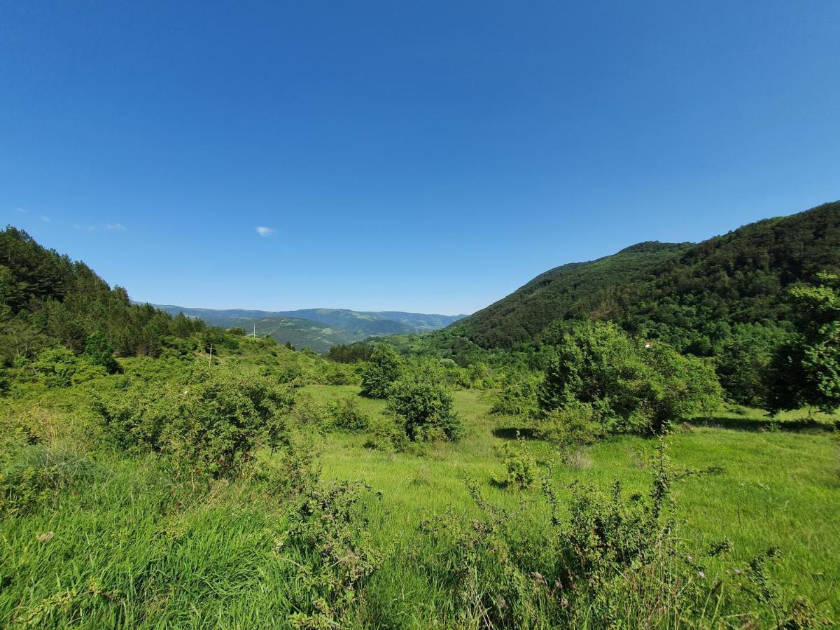 Гостевой дом Zavojsko Jezero Pirot - Smestaj Manic Gostusa Экстерьер фото