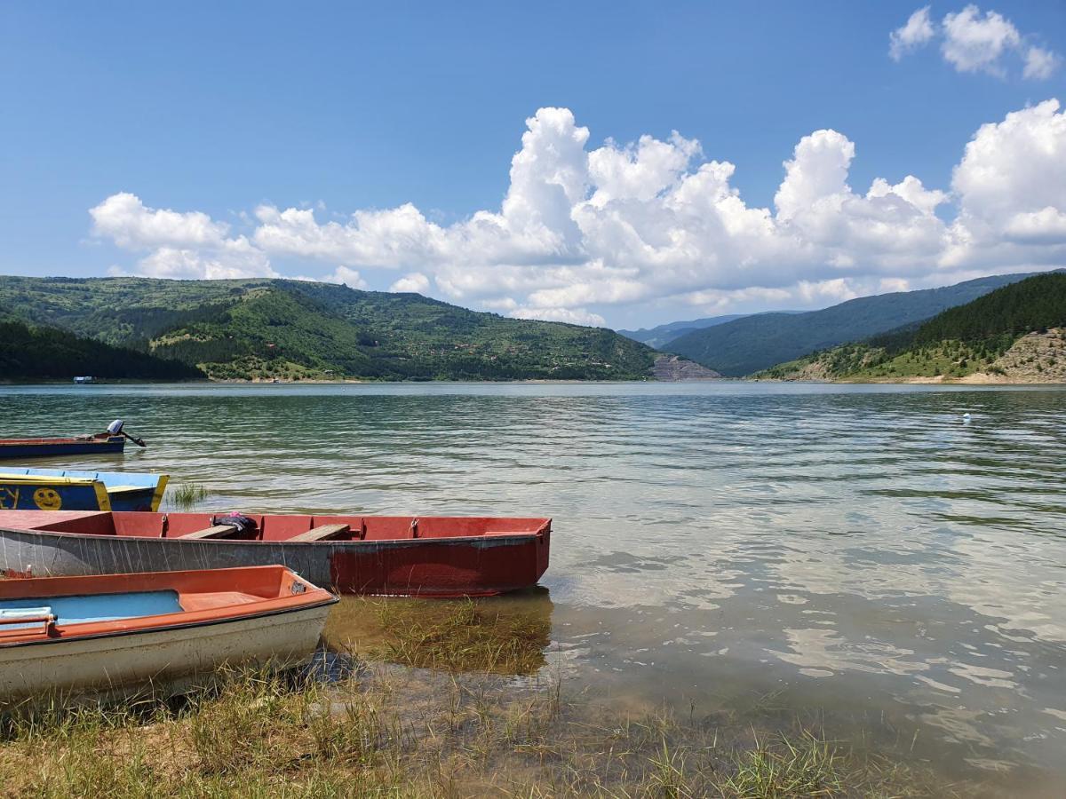 Гостевой дом Zavojsko Jezero Pirot - Smestaj Manic Gostusa Экстерьер фото