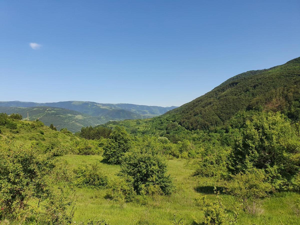 Гостевой дом Zavojsko Jezero Pirot - Smestaj Manic Gostusa Экстерьер фото