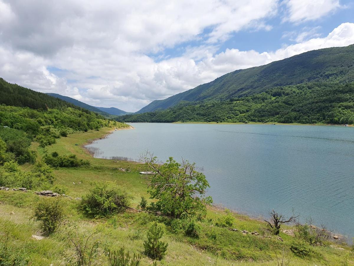Гостевой дом Zavojsko Jezero Pirot - Smestaj Manic Gostusa Экстерьер фото