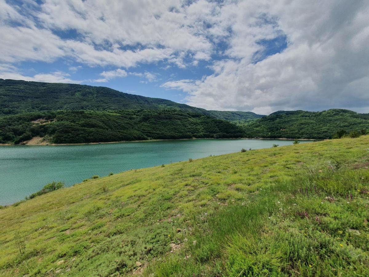 Гостевой дом Zavojsko Jezero Pirot - Smestaj Manic Gostusa Экстерьер фото