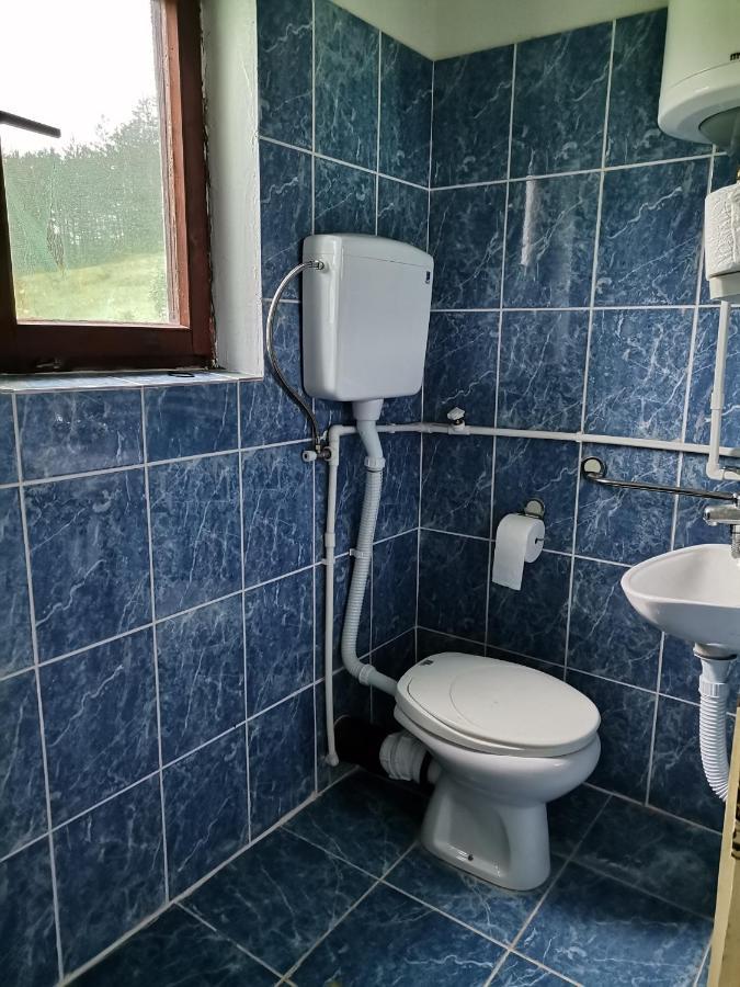 Гостевой дом Zavojsko Jezero Pirot - Smestaj Manic Gostusa Экстерьер фото