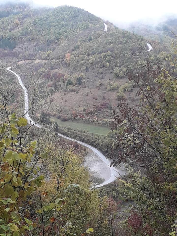 Гостевой дом Zavojsko Jezero Pirot - Smestaj Manic Gostusa Экстерьер фото