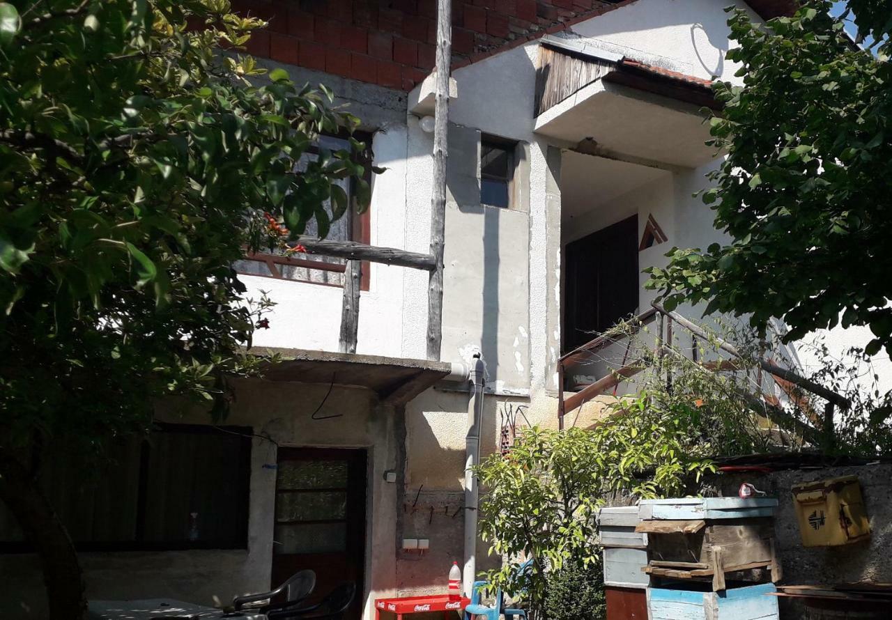 Гостевой дом Zavojsko Jezero Pirot - Smestaj Manic Gostusa Экстерьер фото